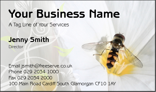 Business Card Design 2338