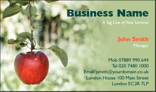 Business Card Design 2477
