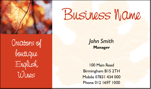 Business Card Design 484