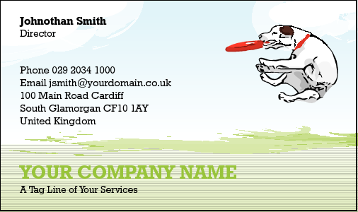 Business Card Design 3563