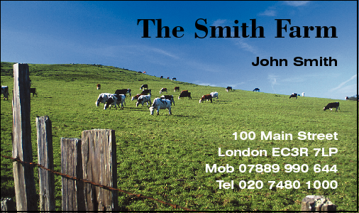 Business Card Design 536